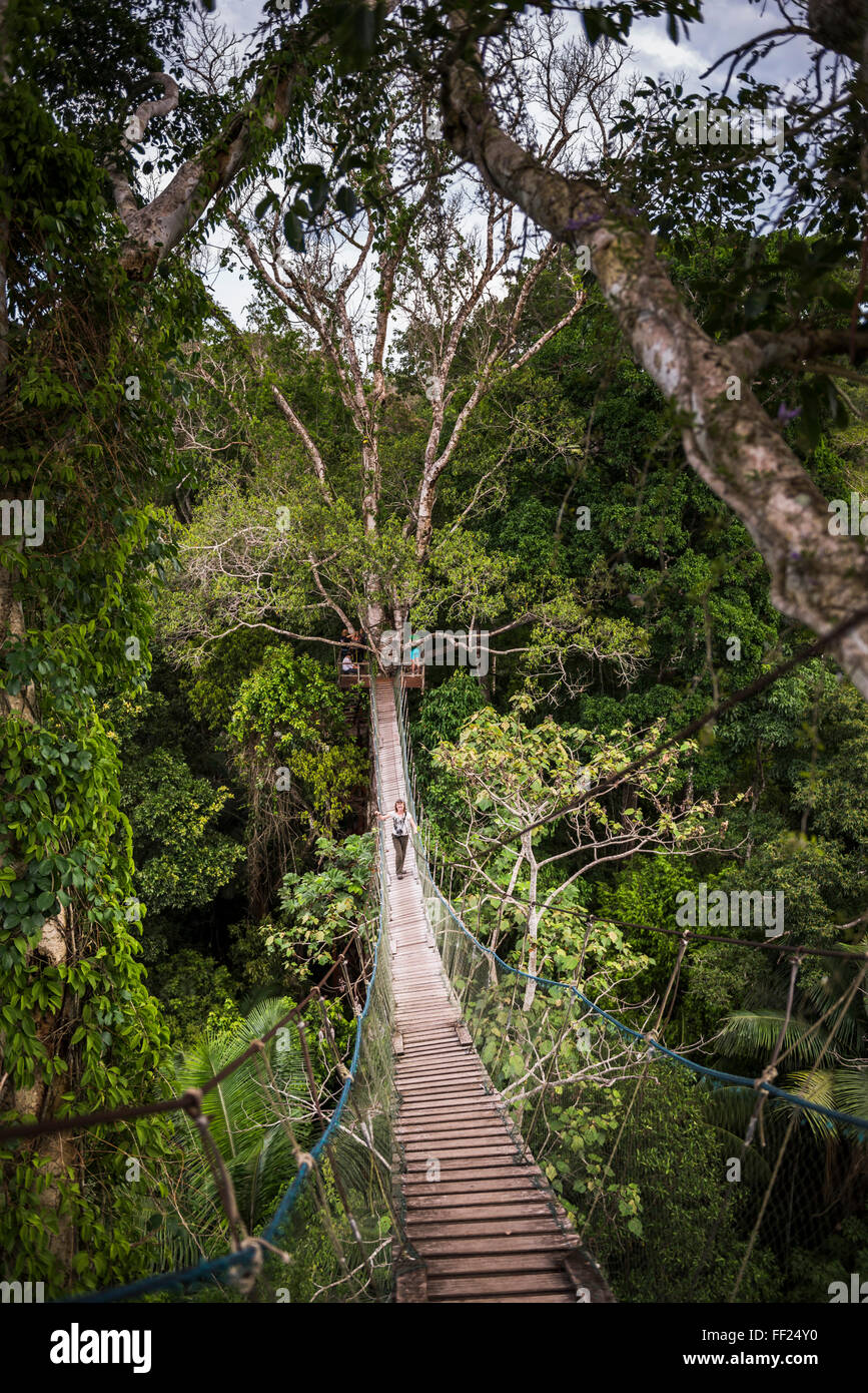 Amazon JungRMe swinging rope bridge in Puerto MaRMdonado area, Peru, South America Stock Photo