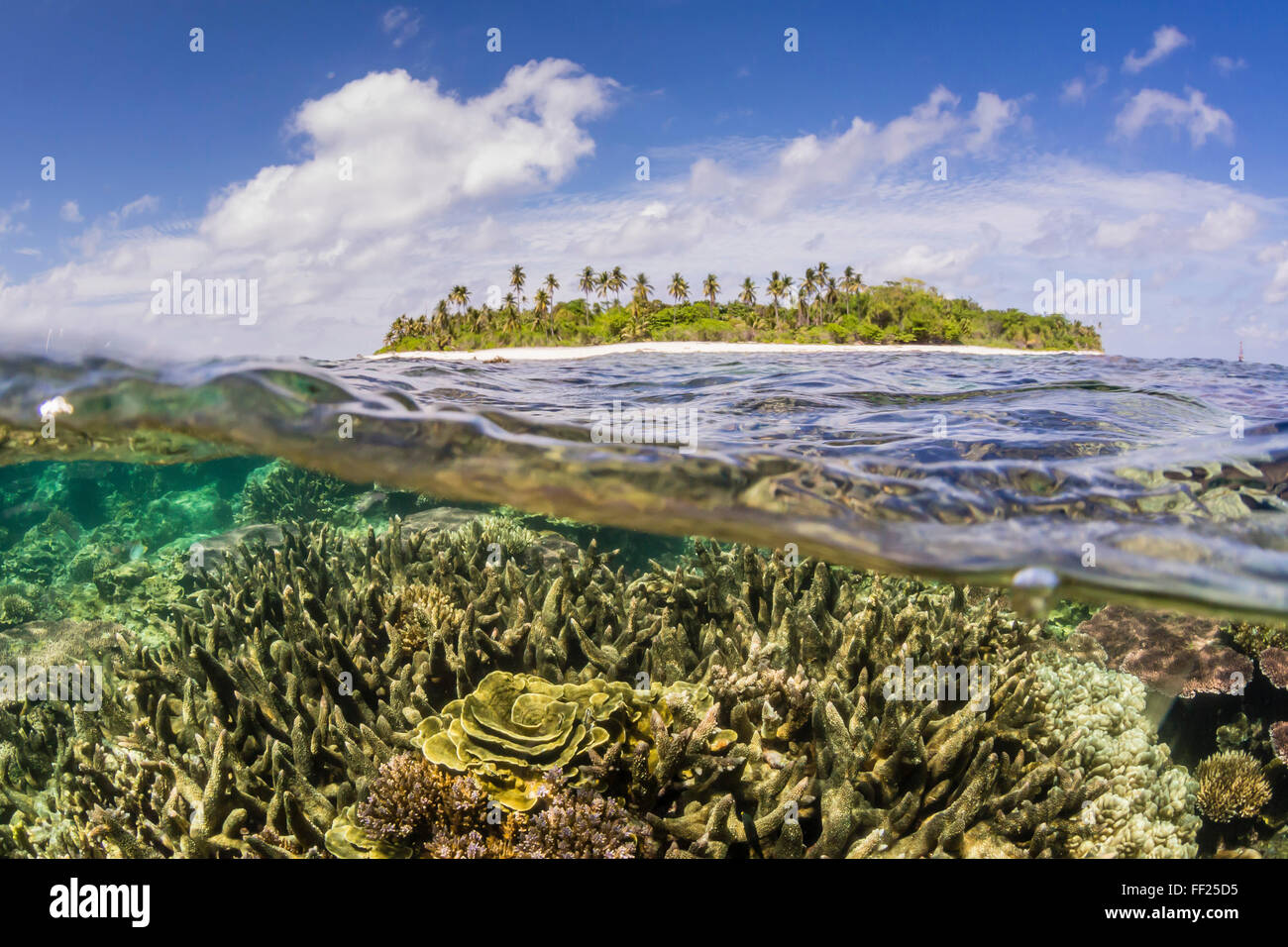 Half above and half below on a remote small Islet in the Badas Island Group off Borneo, Indonesia, Southeast Asia, Asia Stock Photo