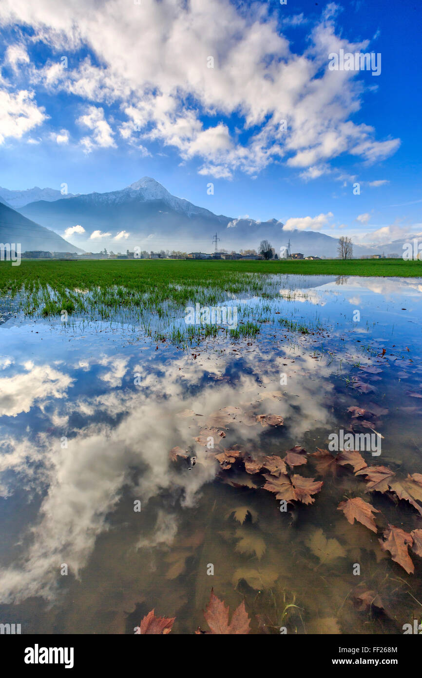 The natural reserve of Pian di Spagna flooded with Mount Legnone reflected in the water, Valtellina, Lombardy, Italy, Europe Stock Photo