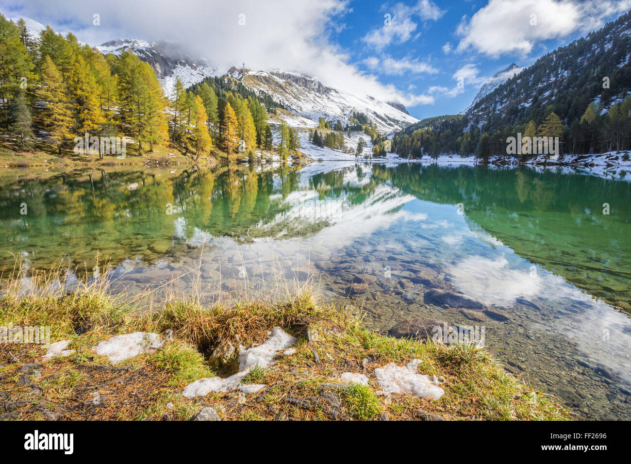 Colorful trees and snowy peaks reflected in Lai da Palpuogna, Albula Pass, Engadine, Canton of Graubunden, Switzerland, Europe Stock Photo
