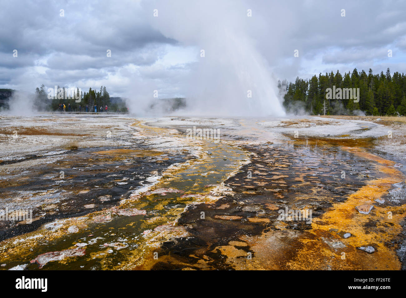 Daisy Geyser, Upper Geyser Basin, YeRMRMowstone NationaRM Park, UNESCO