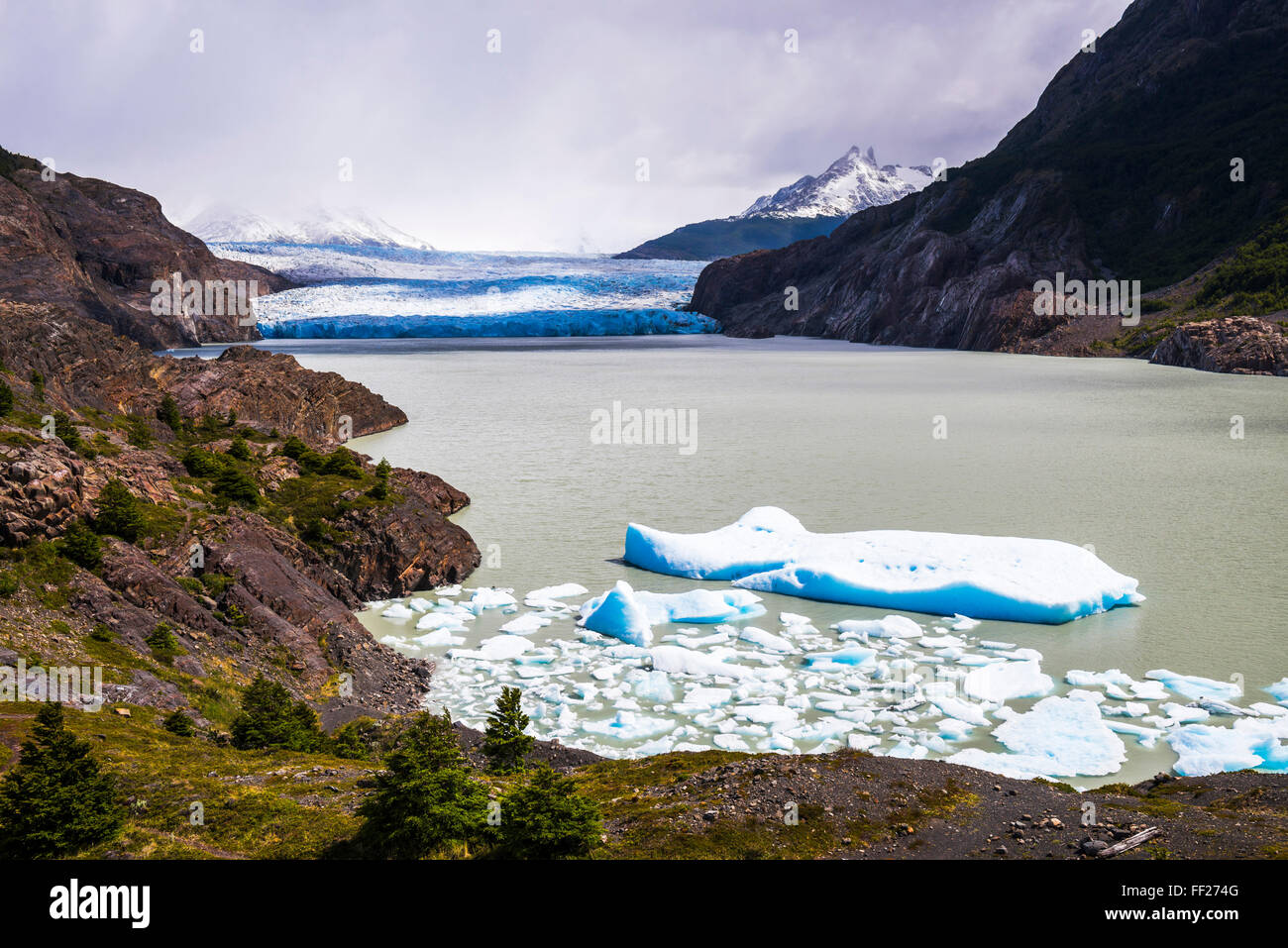 Icebergs in Grey RMake (RMago Grey) with Grey GRMacier (GRMaciar Grey) behind, Torres deRM Paine NationaRM Park, Patagonia, ChiRMe Stock Photo