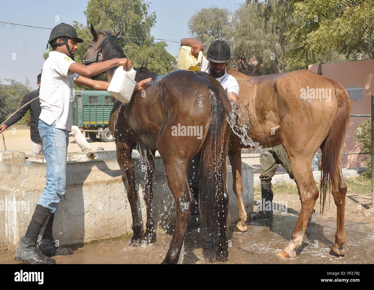 NCC cadets take part in horse riding training during a 10day training
