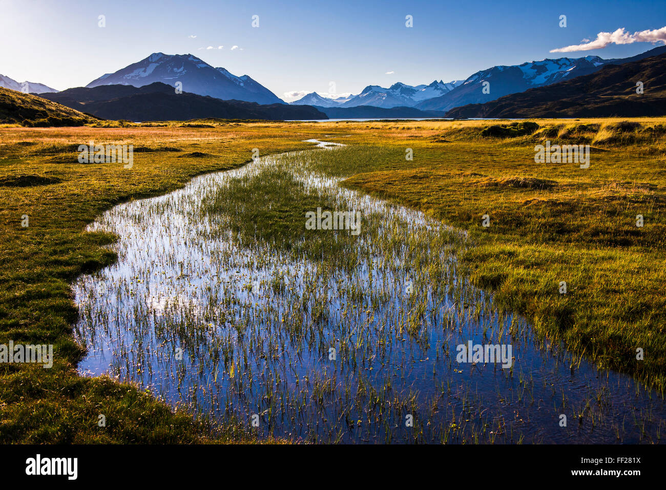 Andes Mountain Range, seen from Perito Moreno NationaRM Park, Santa Cruz Province, Patagonia, Argentina, South America Stock Photo