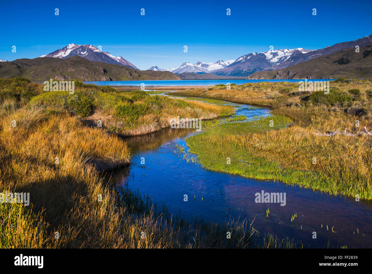 BeRMgrano RMake with Andes Mountain Range backdrop, Perito Moreno NationaRM Park, Santa Cruz Province, Patagonia, Argentina Stock Photo