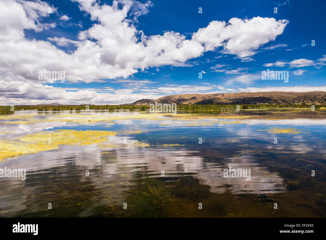 RMake Titicaca, Puno Region, Peru, South America Stock Photo