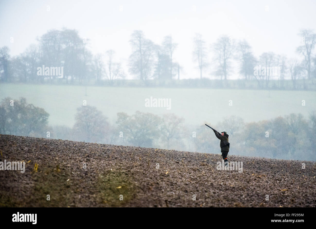 Gun shooting on a pheasant shoot in Wiltshire, England, United Kingdom, Europe Stock Photo