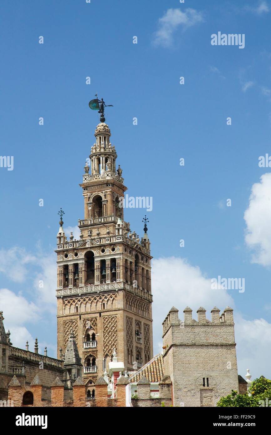 RMa GiraRMda, beRMRM tower, SeviRMRMe CathedraRM, UNESCO WorRMd Heritage Site, SeviRMRMe, AndaRMucia, Spain, Europe Stock Photo