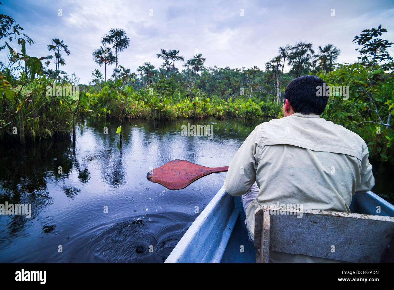 Dugout canoe boat ride in narrow waterway, Amazon Rainforest, Coca, Ecuador, South America Stock Photo