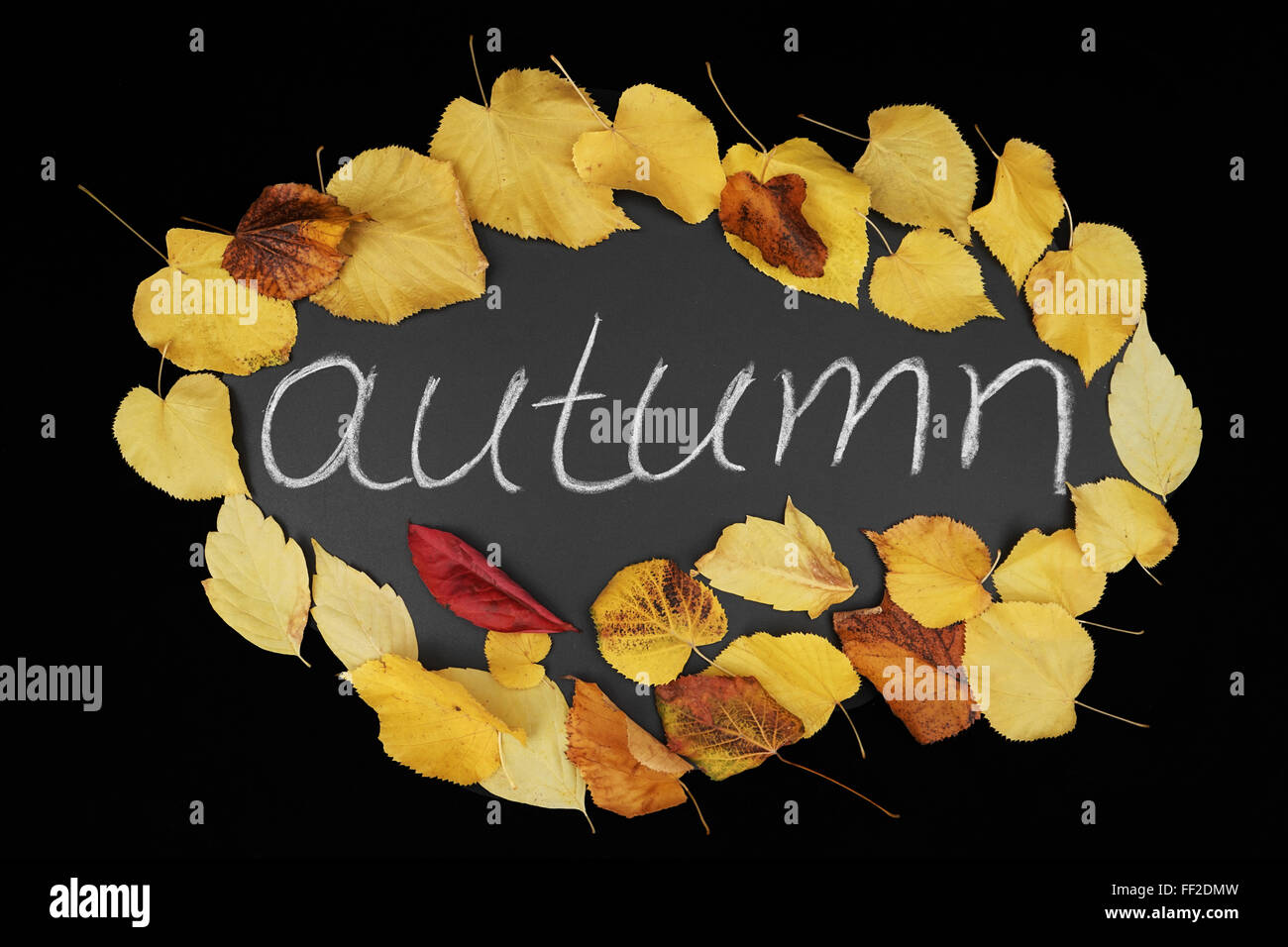 Border frame of colorful autumn leaves on black background Stock Photo ...