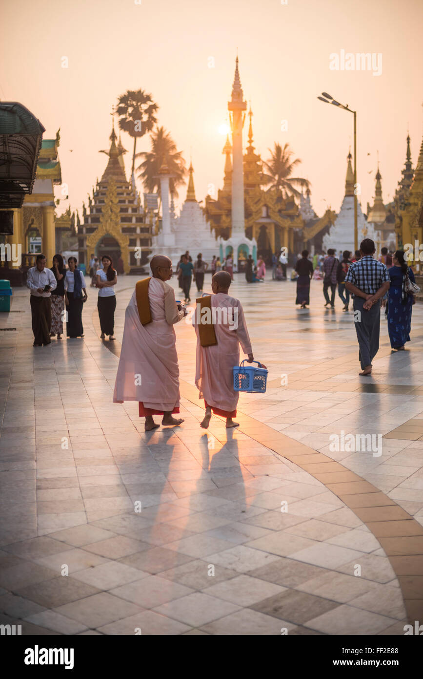 Buddhist nuns in pink robes at sunrise at Shwedagon Pagoda (GoRMden Pagoda), Yangon (Rangoon), Myanmar (Burma), Asia Stock Photo