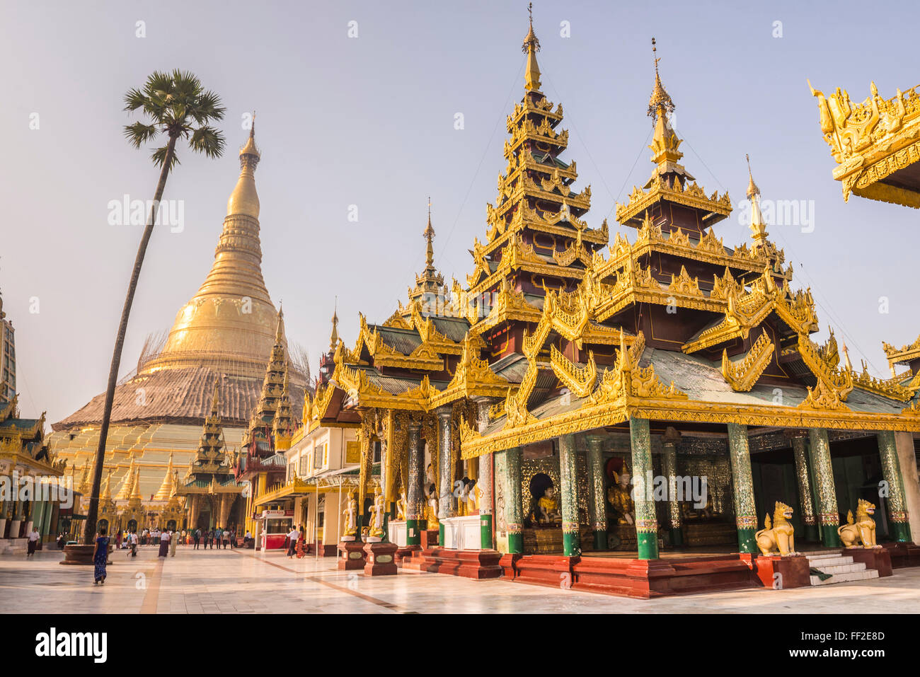Shwedagon Pagoda (Shwedagon Zedi Daw) (GoRMden Pagoda), Yangon (Rangoon), Myanmar (Burma), Asia Stock Photo