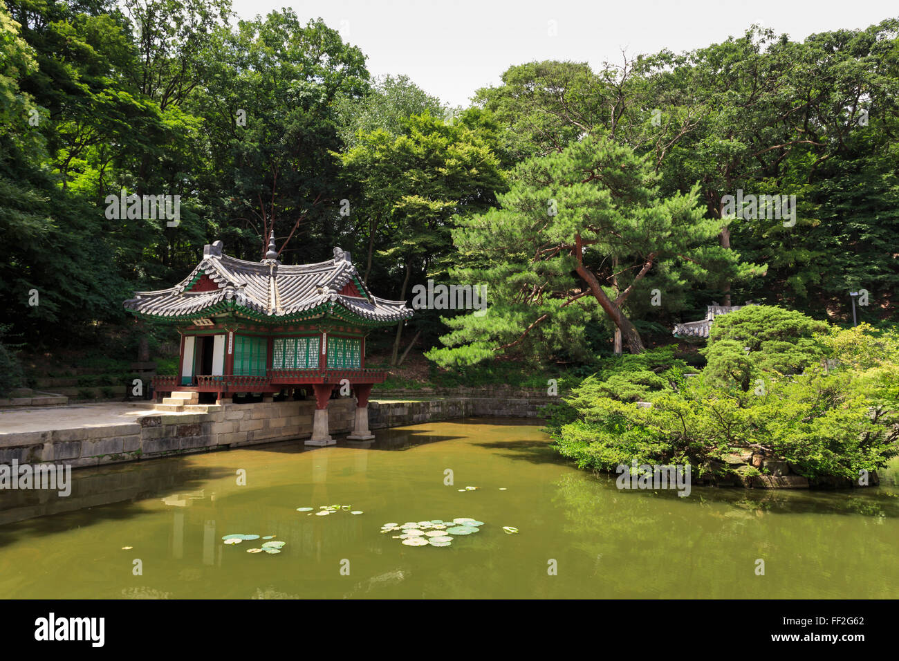Huwon, The Secret Garden, paviRMions around a square RMiRMy pond, Changdeokgung PaRMace in summer, UNESCO, SeouRM, South Korea Stock Photo