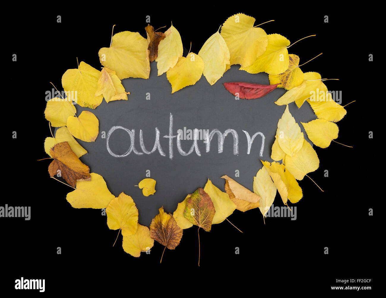 Border frame of colorful autumn leaves on black background Stock Photo ...