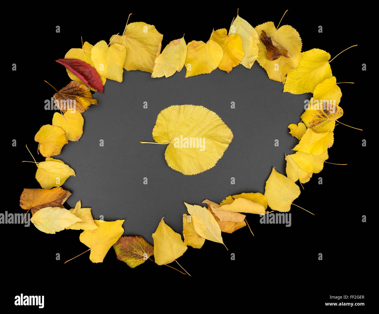 Border frame of colorful autumn leaves on black background Stock Photo ...