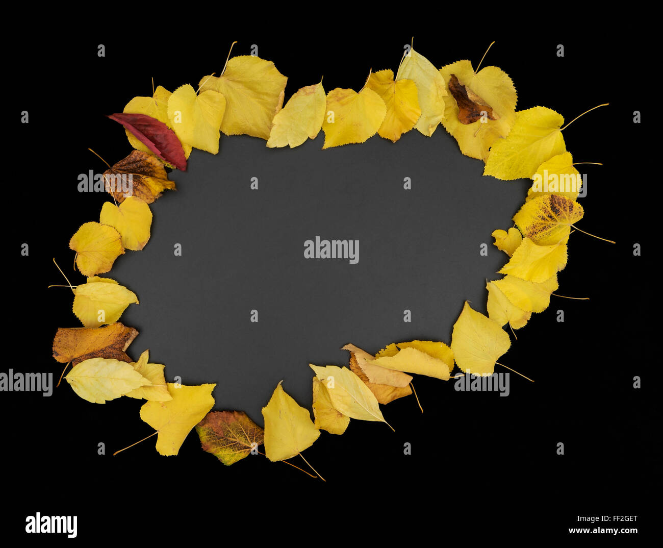 Border frame of colorful autumn leaves on black background Stock Photo ...