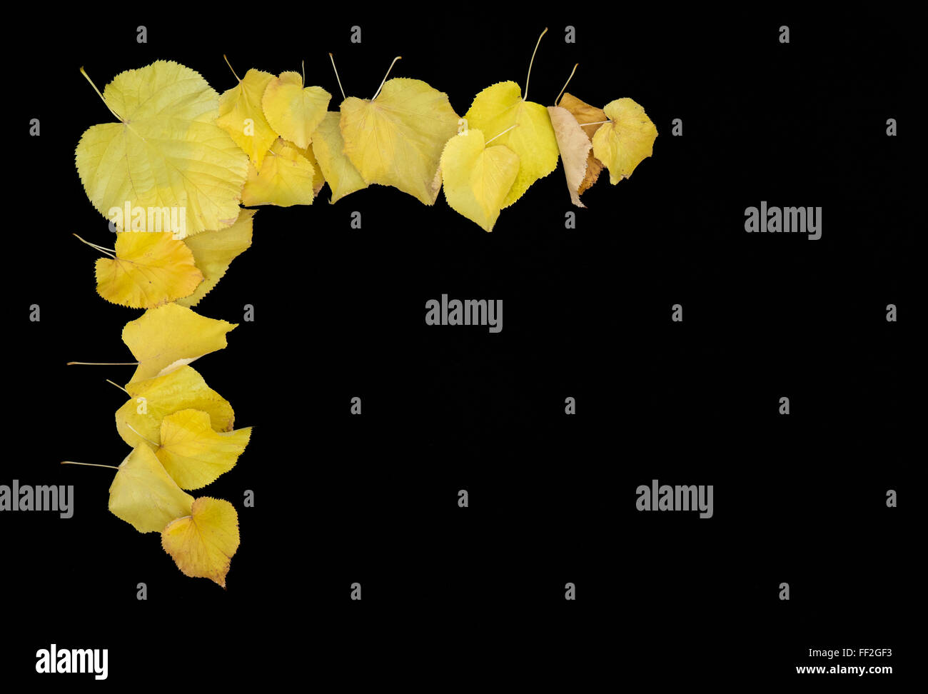 Border frame of colorful autumn leaves on black background Stock Photo ...