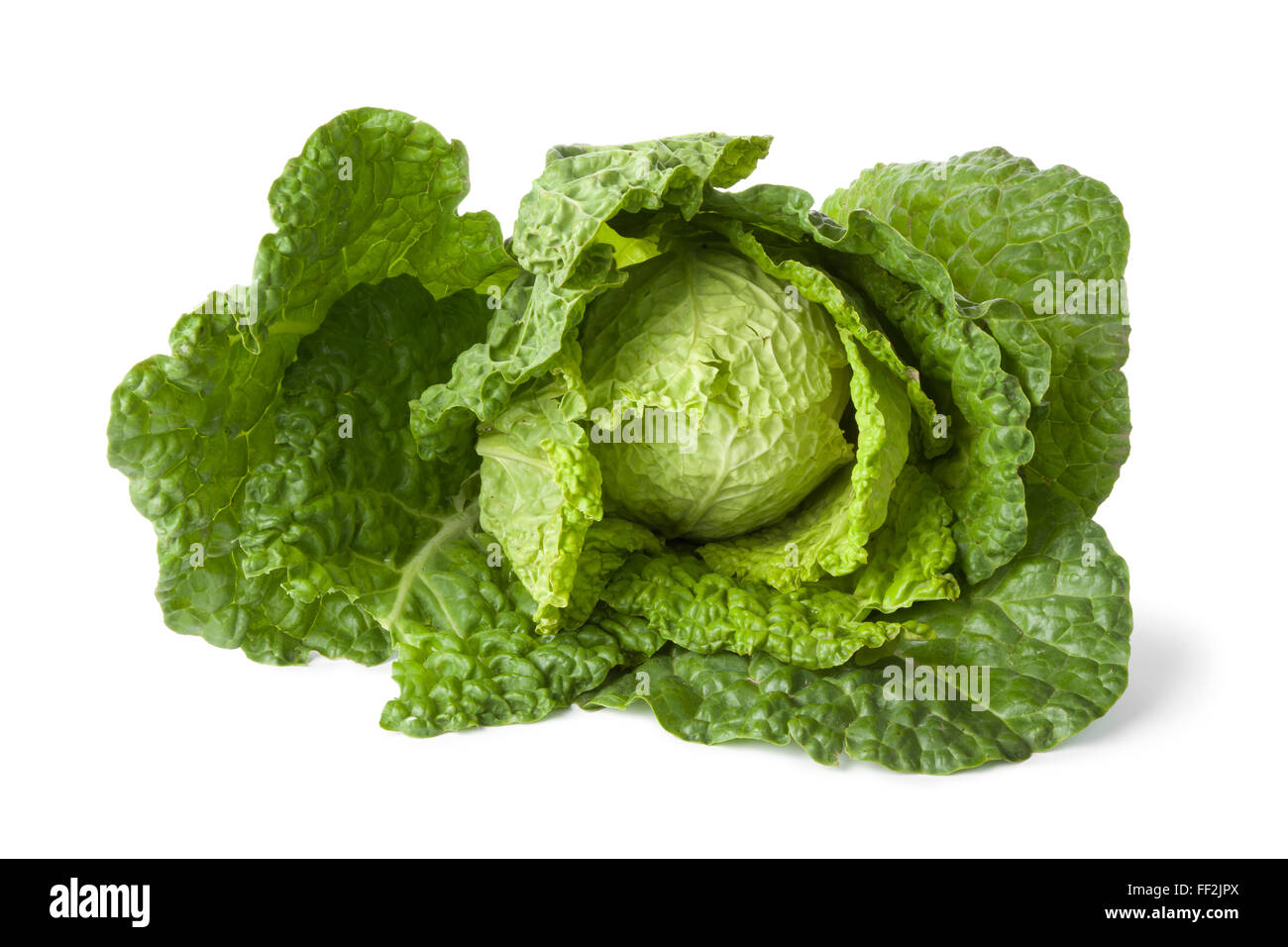 Fresh raw Savoy cabbage on white background Stock Photo