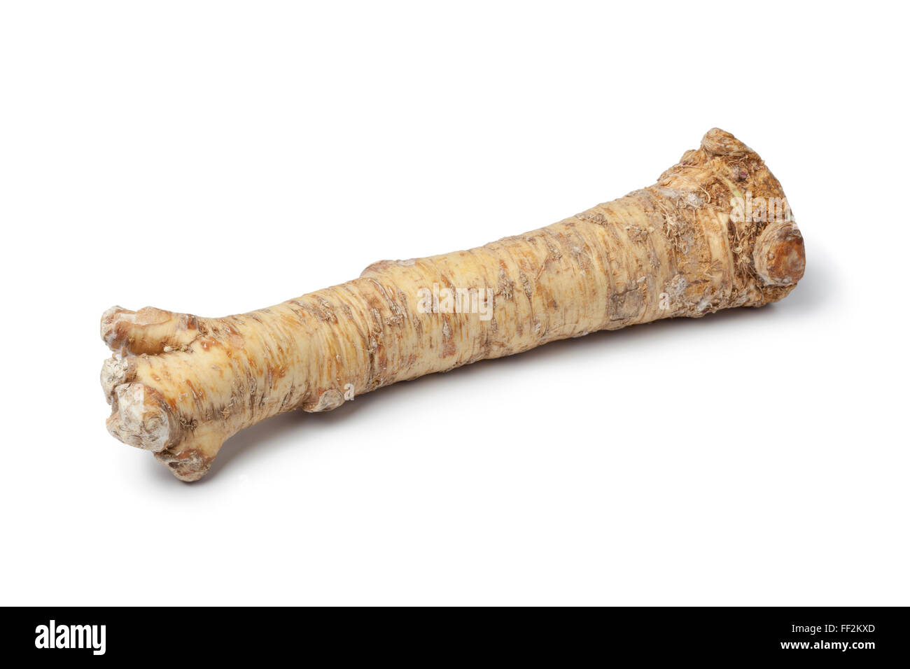 Horseradish root hires stock photography and images Alamy