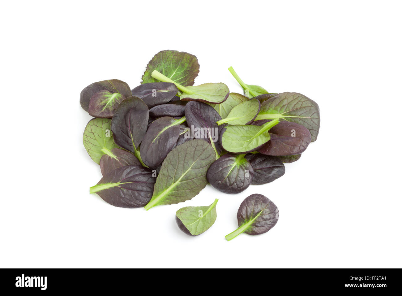 Fresh tatsoi leaves on white background Stock Photo