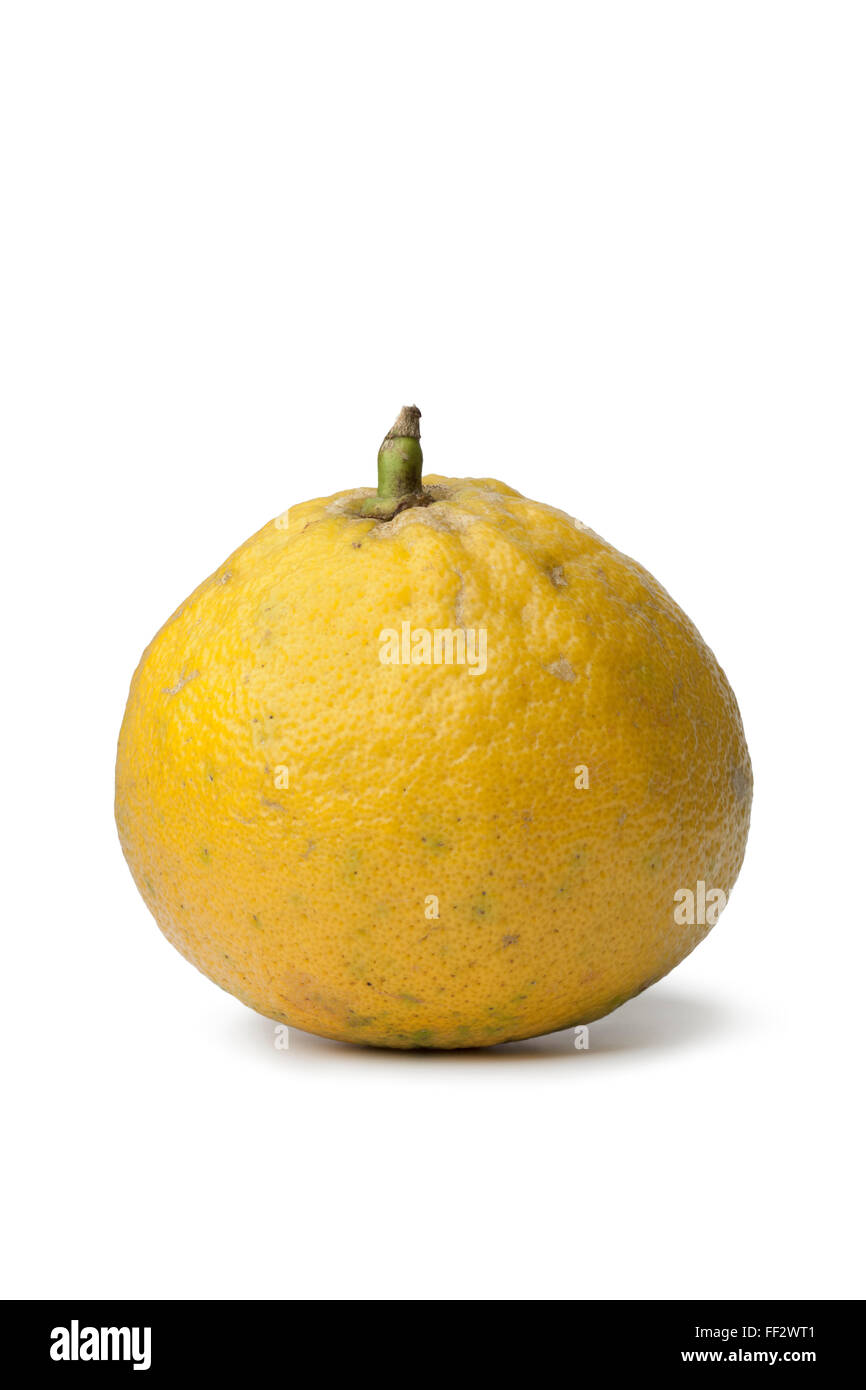 Whole single fresh Bergamot orange on white background Stock Photo Alamy