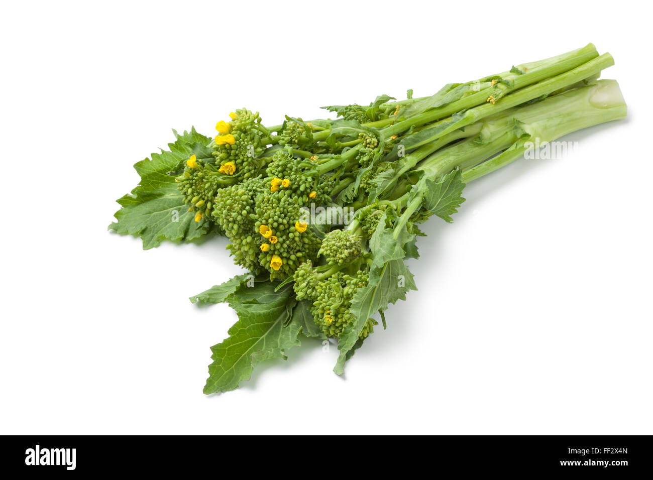 Bunch of fresh picked broccolini on white background Stock Photo