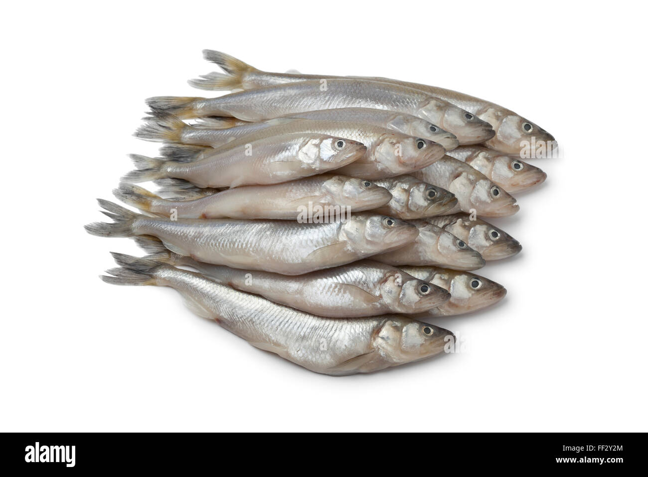 Fresh European smelt fishes on white background Stock Photo - Alamy