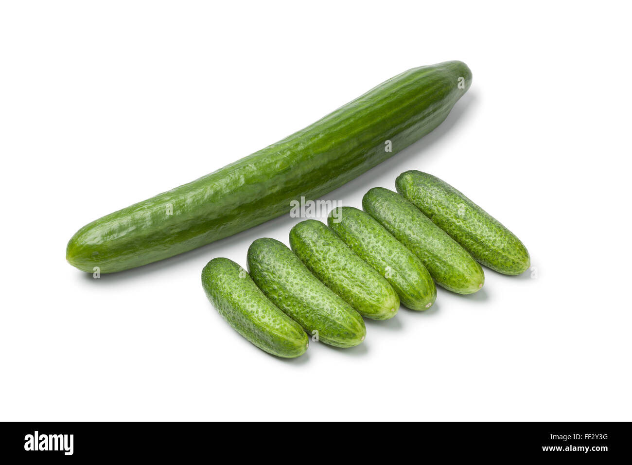 https://c8.alamy.com/comp/FF2Y3G/fresh-mini-cucumbers-compared-with-a-large-one-on-white-background-FF2Y3G.jpg