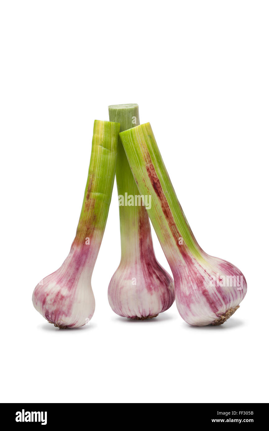 Fresh French garlic on white background Stock Photo Alamy
