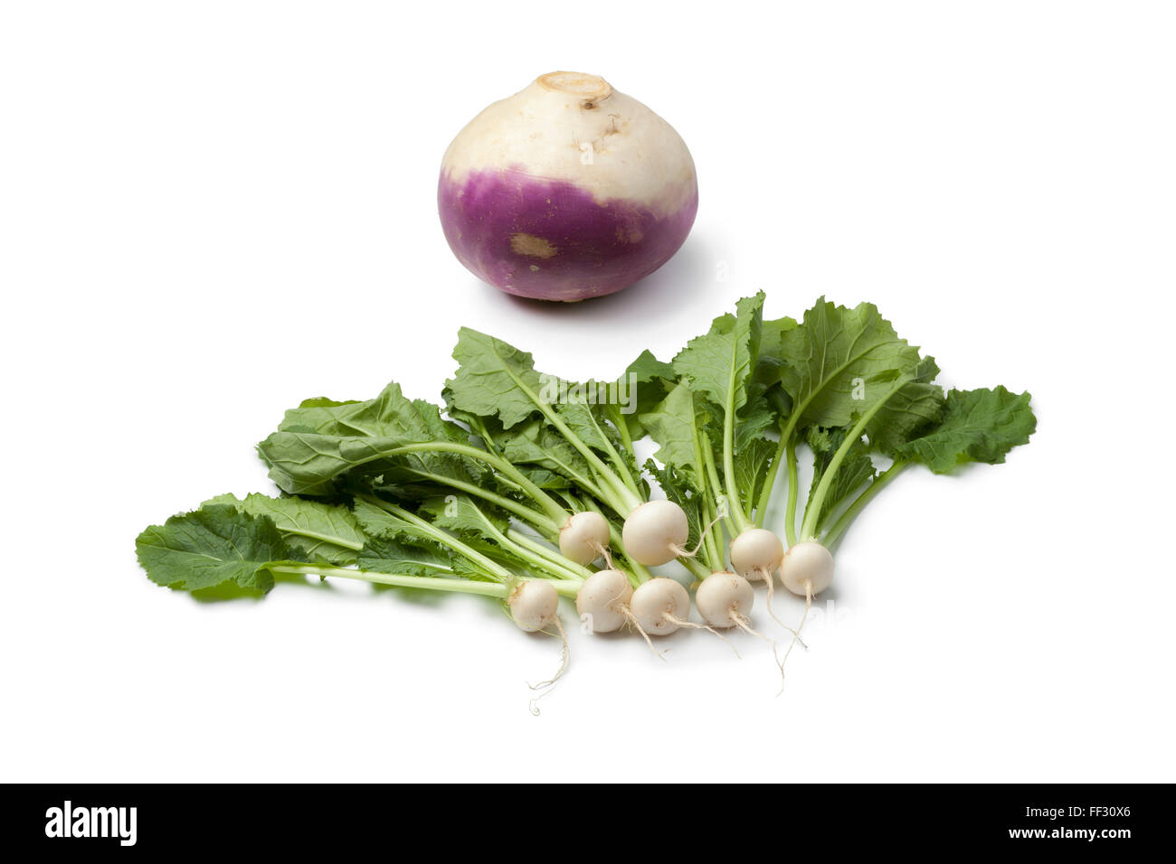 Fresh baby turnip and a large one to see the difference in size on white background Stock Photo