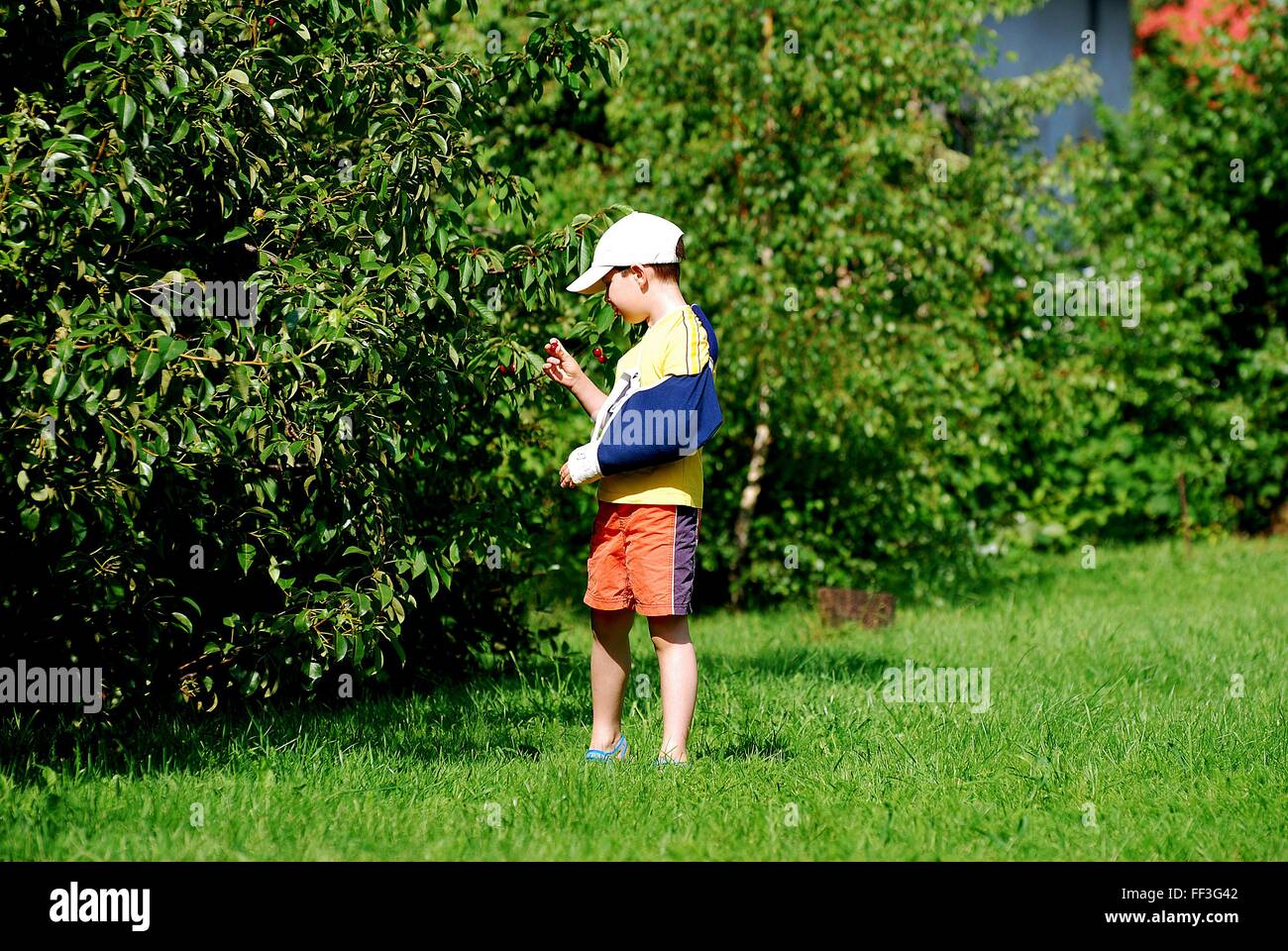 boy in garden Stock Photo