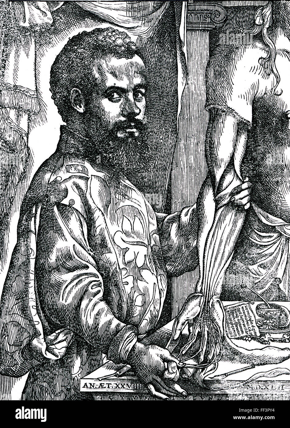 ANDREAS VESALIUS (1514-1564) Dutch physician and anatomist from the woodcut in his book De humani corporis fabica published in 1543 Stock Photo