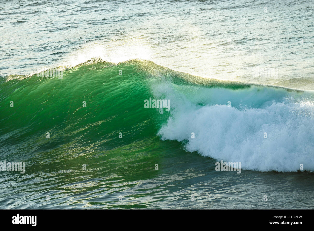 Crushing wave in ocean at Fingal Heads, Gold Coast Hinterland Stock Photo