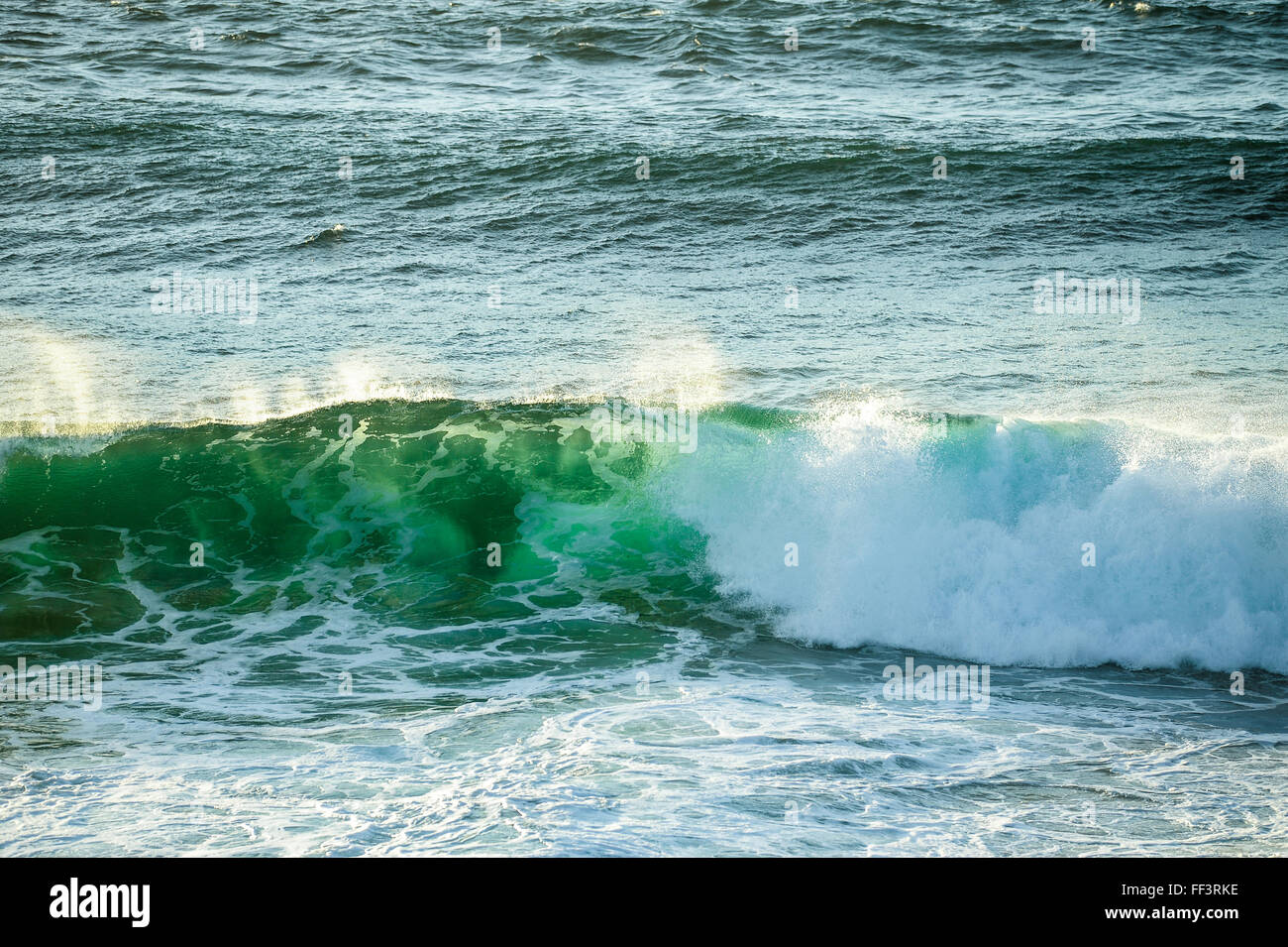 Crushing wave in ocean at Fingal Heads, Gold Coast Hinterland Stock