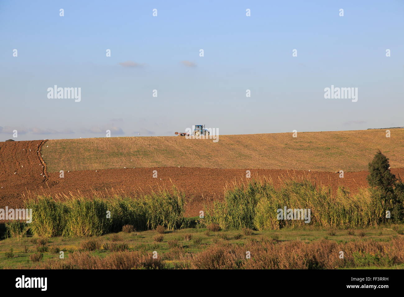 Tractor ploughing ridge along hillside in countryside near Vejer de la Fronterra, Cadiz Province, Spain Stock Photo