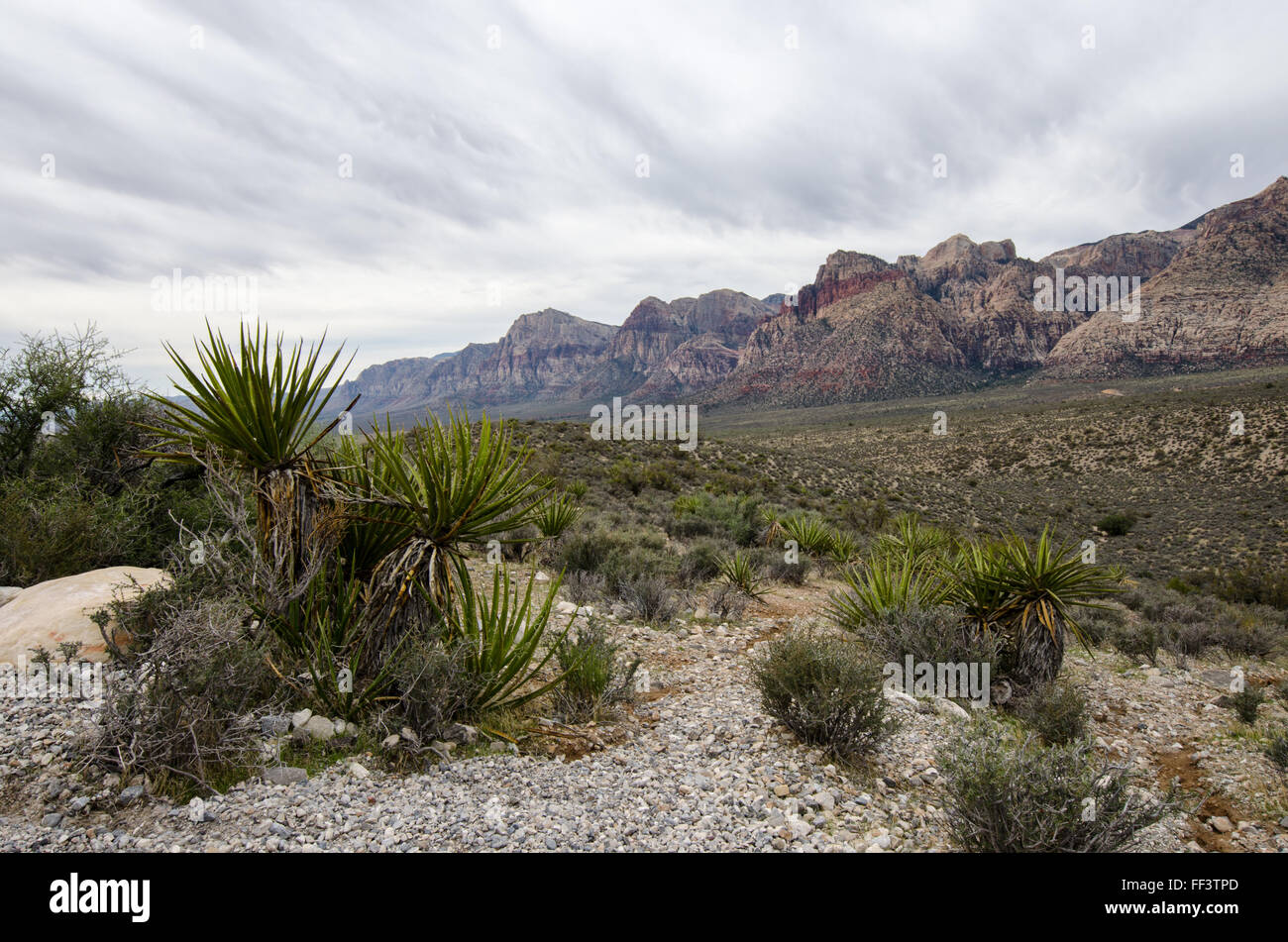 Red rock canyon nevada drive hi-res stock photography and images - Alamy