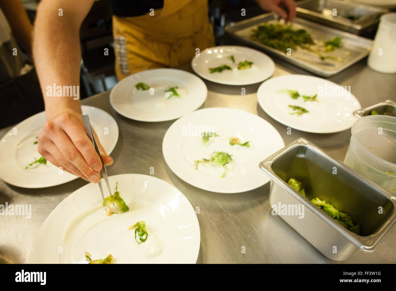 Chef plating salad in restaurant Stock Photo