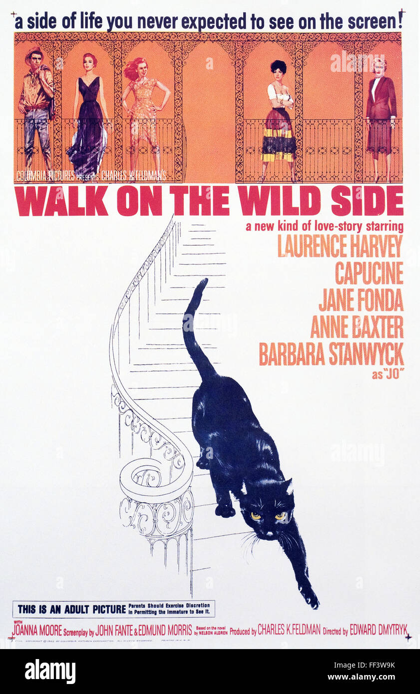 Walk On The Wild Side Movie Poster Stock Photo 95357407 Alamy