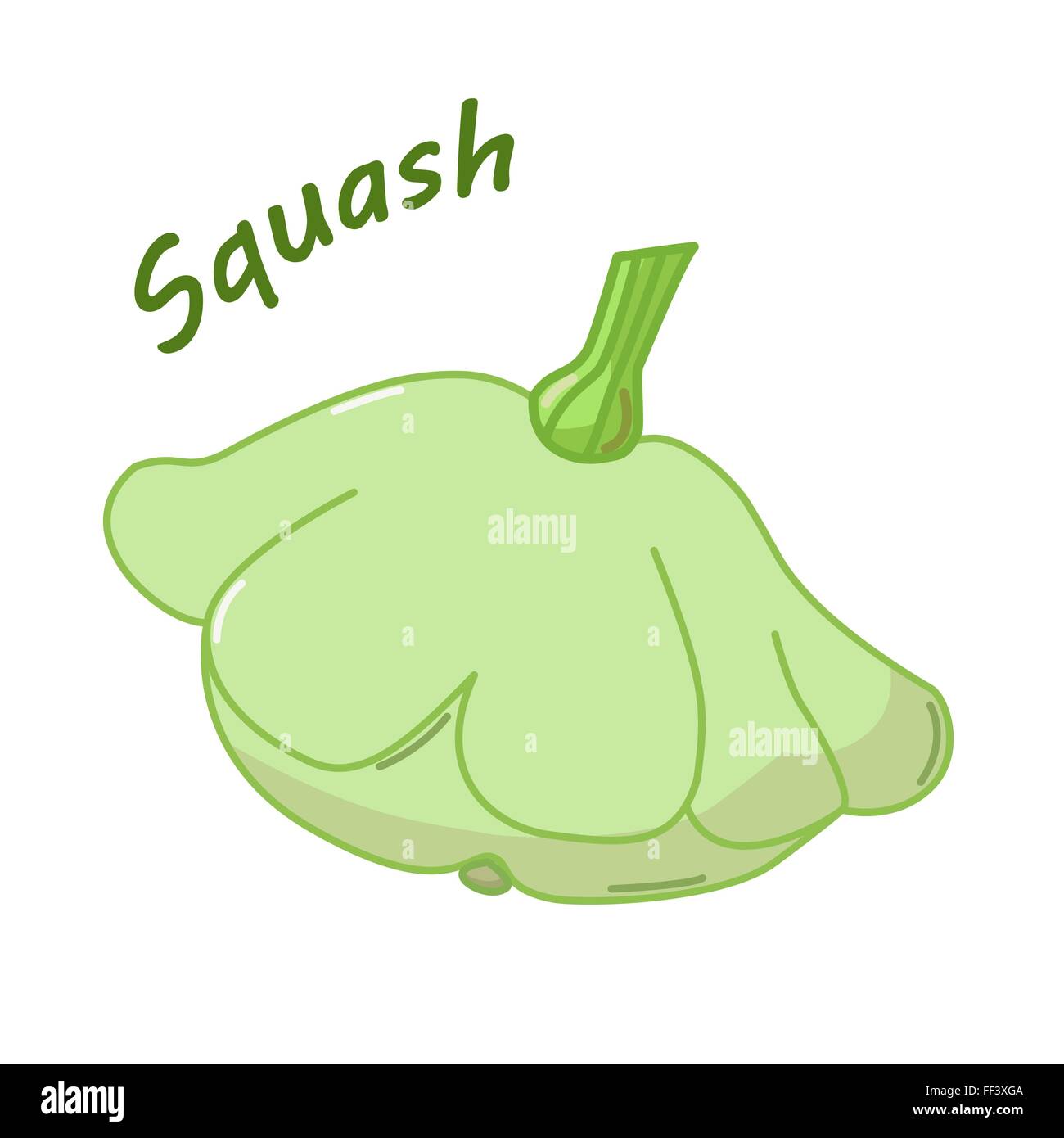 Isolated icon of fresh squash with name Stock Vector