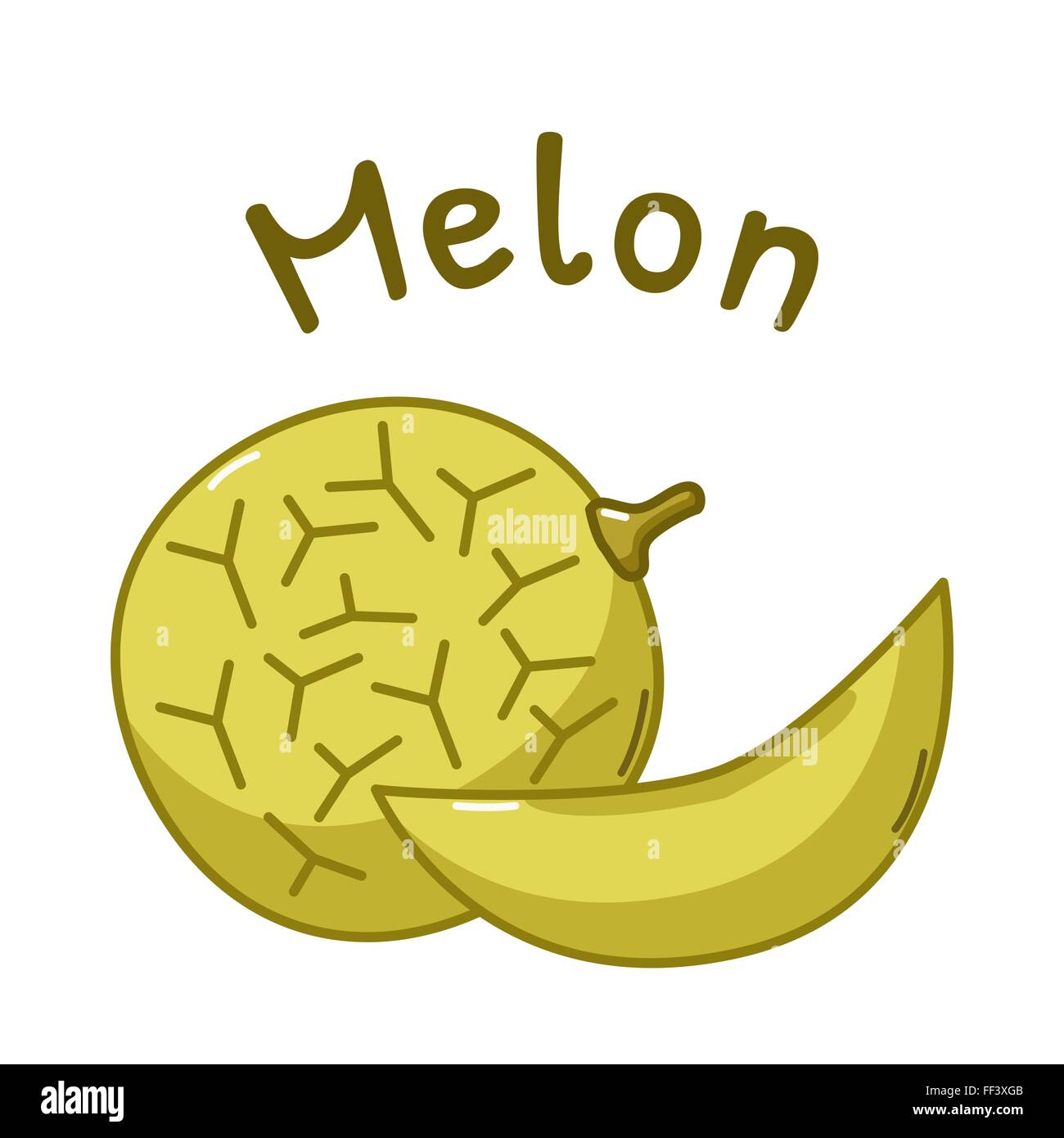 Isolated icon of raw melon with name Stock Vector Image & Art Alamy