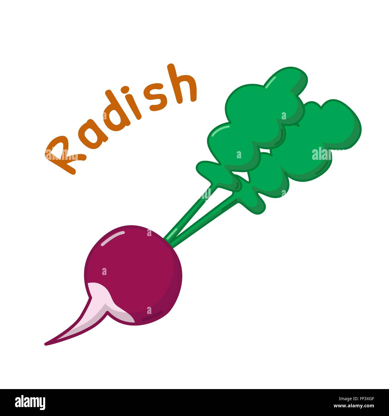 Radish vegetarian Stock Vector Images Alamy