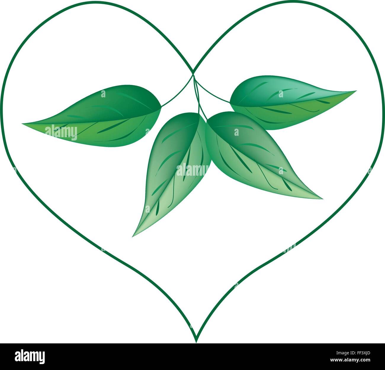 Love Concept, Illustration of Fresh Green Leaves in A Heart Shape ...