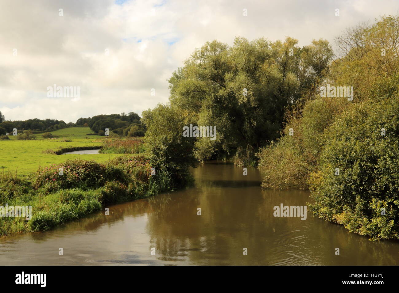 River in Dorset countryside,UK Stock Photo - Alamy