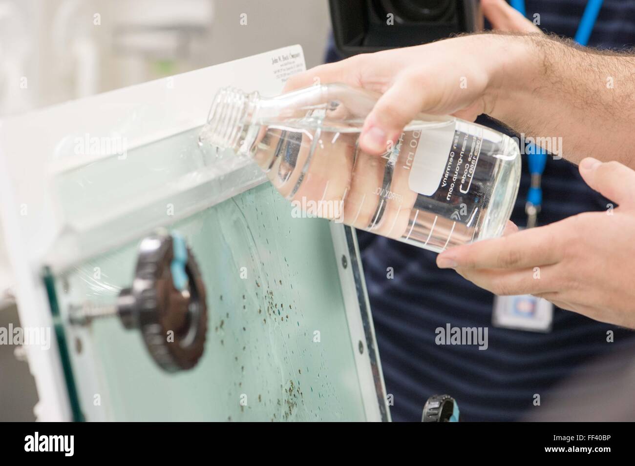 Iaea mosquitos hires stock photography and images Alamy