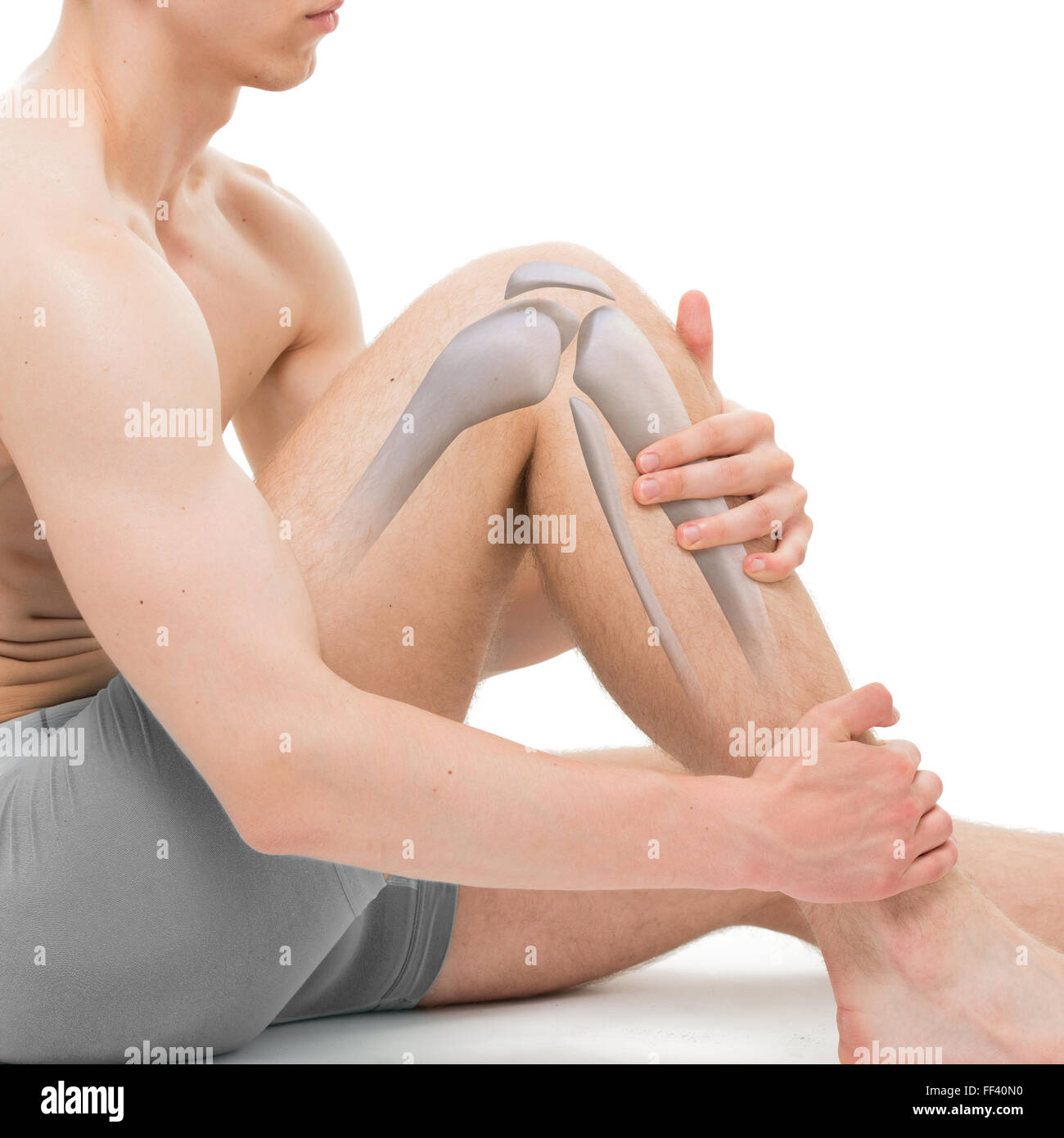 Knee Bone Anatomy isolated on white Stock Photo