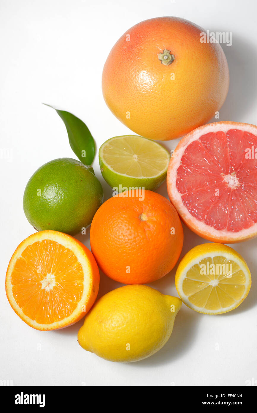 citrus fruits isolated on white background Stock Photo