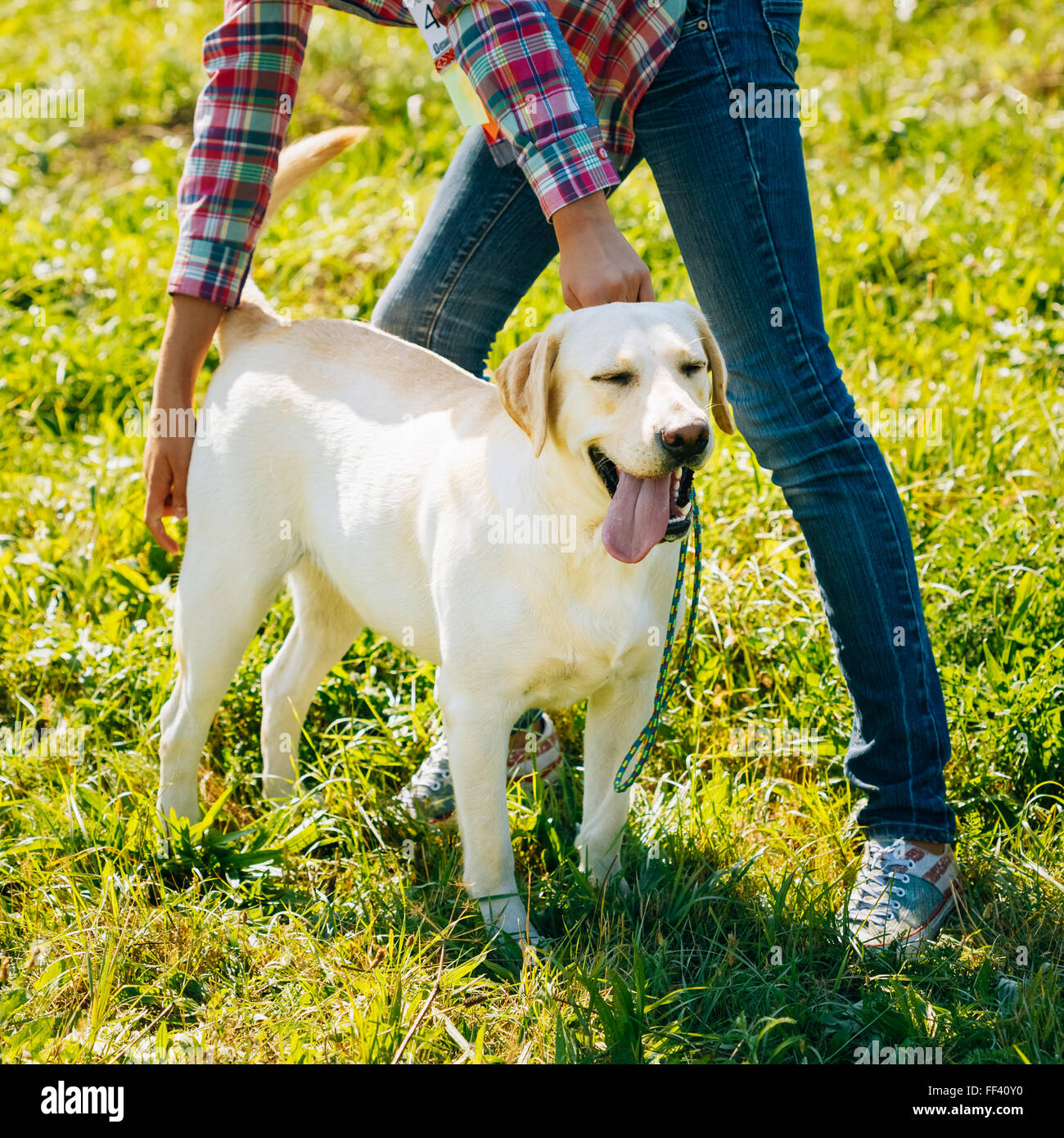 Why Do Dogs Stand Over Your Feet