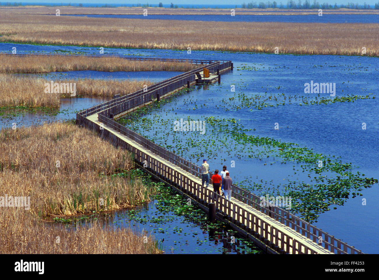 CAN, Canada, Ontario, Point Pelee National Park at Lake Erie, Point Pelee is the southernmost point of mainland Canada.  CAN, K Stock Photo