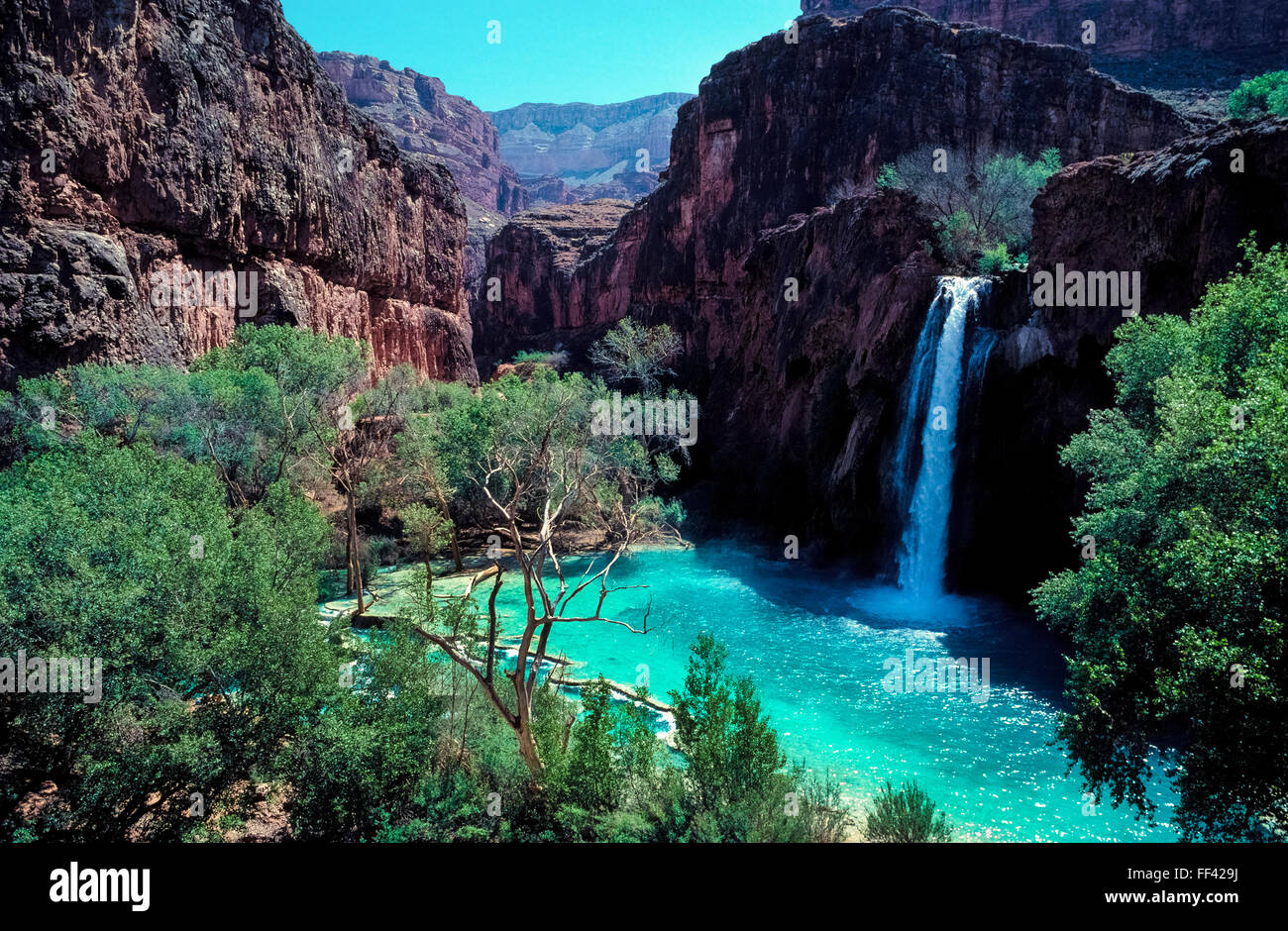 A beautiful and refreshing turquoise pool at the base of Havasu Falls attracts visitors to the isolated Havasupai Indian Reservation that adjoins Grand Canyon National Park in Arizona, USA. A high concentration of calcium carbonate in the water causes its vivid blue-green color and the natural travertine dam that forms this inviting pool. The Havasupai tribal name appropriately means 'people of the blue-green waters.' Stock Photo