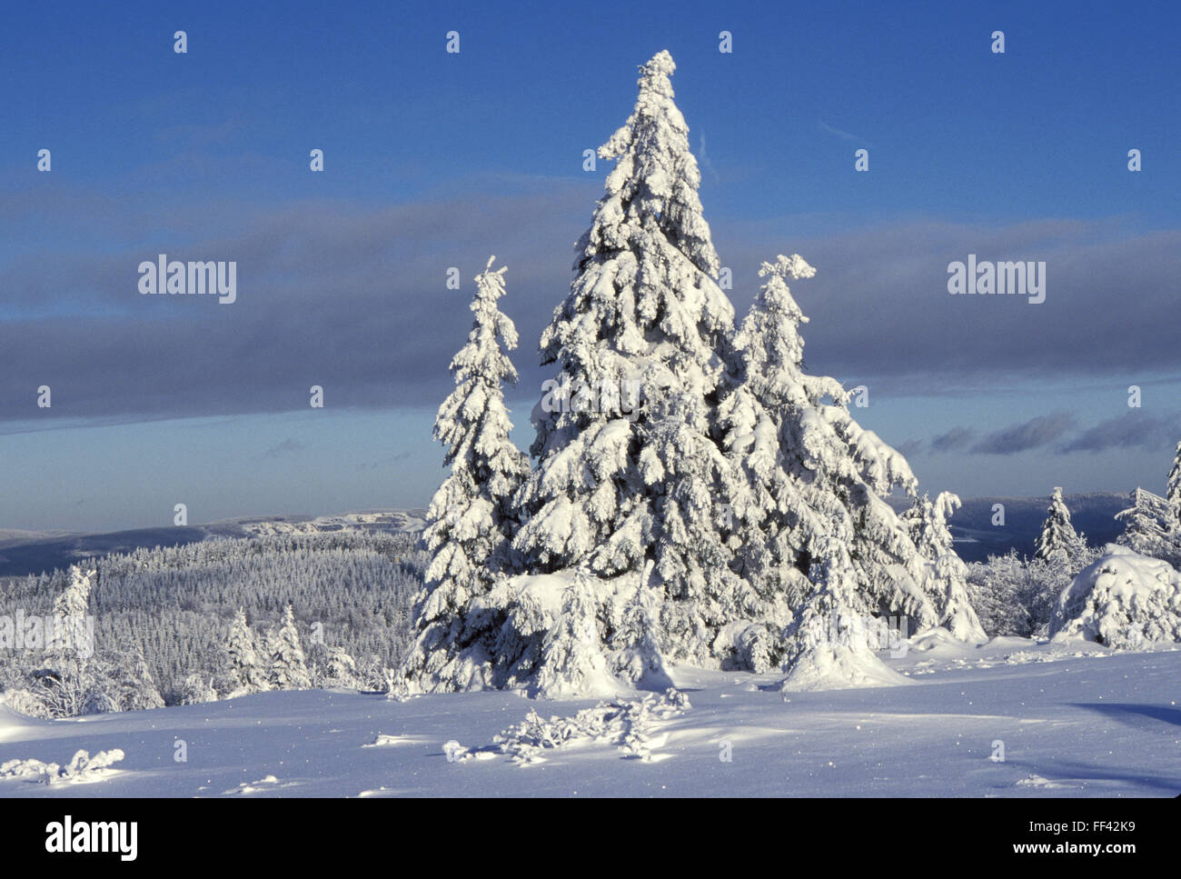 DEU, Germany, Sauerland region, winter at the mountain Kahlen Asten near the city of Winterberg.  DEU, Germany, Sauerland, Winte Stock Photo